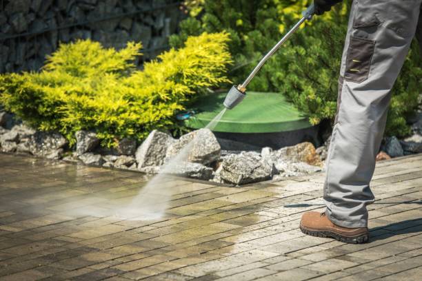Best Sidewalk and Walkway Cleaning  in Havre, MT